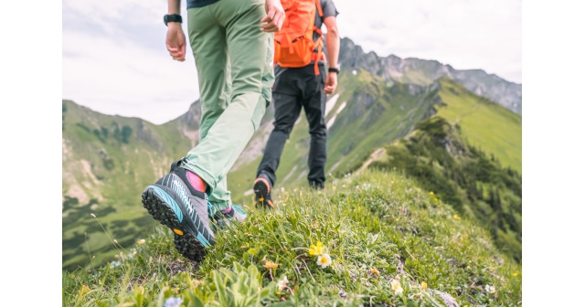 5 Essentials you should never hike without