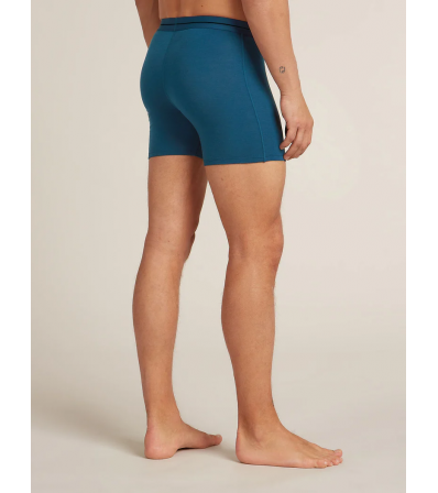 Боксерки Icebreaker Merino Blend 125 Cool-Lite Anatomica Boxers