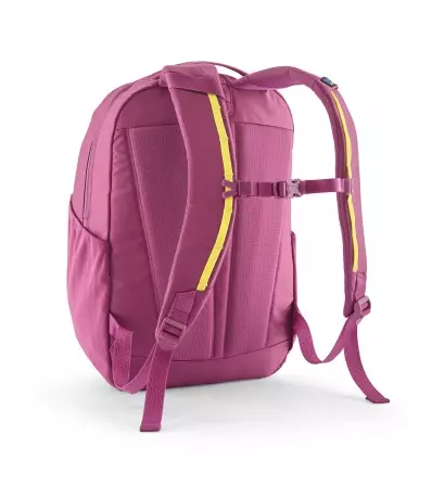 Раница Patagonia Atom Day Pack 24L